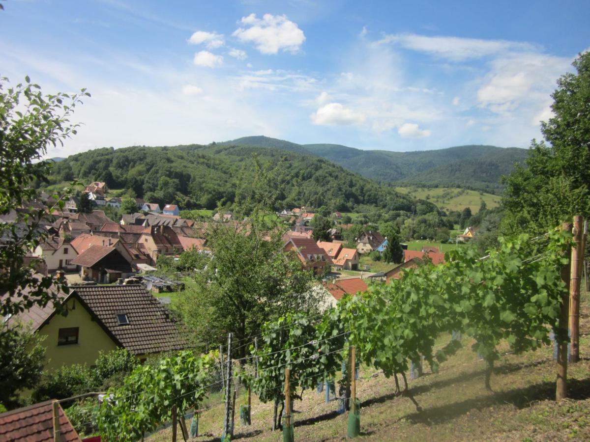 Chambres D'Hotes "Au Val Sejour" Alsace Saint-Martin  Exterior photo